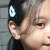 zha_sdhsembuh