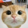 clsyow