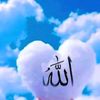 user30847951281552