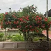 phm.vanthanh