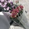 lalarizkaaa_