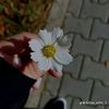 user3607466152563