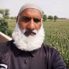qurban.ali.707