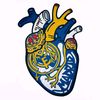 idzo35