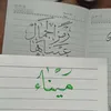 mena.bakr99