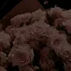 anais38.5