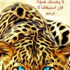 user97742526727007