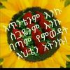 user296079380042