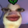 _eacrizz