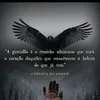 edson.justino8