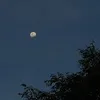 moonchild.2892
