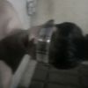 perdi.putra.barit