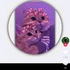 user1062016779321