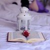 asmaa.abdulrhman
