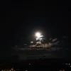 lauracoccimiglio5