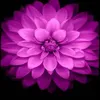 sylwia.h91