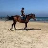 avinoam.salman
