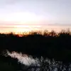 kowacewiccd