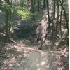 dh_biker201