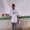 escobardollars26