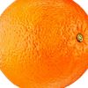orangeborangemorange