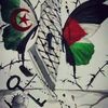 user9207686130713