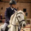 riding_bento