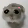 kchanacutee