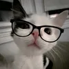 nerdsexyboy