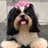amora_jardim