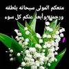 houriasegmami