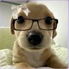 doglover_843