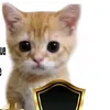 raikle.santos