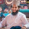 پیر سید فیض الحسن شاہ