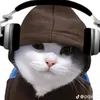 tomcon2131