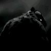 josue.e.g_2011