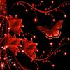 like_love_sa