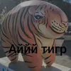 user4147041371406