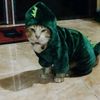 nanadiana1998