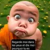 t.om.my_