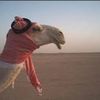 mr_camel00
