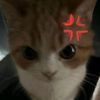 user122355433704