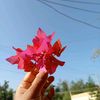 nusrat.tanha001