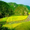 Báo và PT-TH Ninh Bình