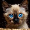 meowxx683