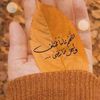 .yasr.yasr