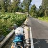 mochiy_31