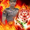 saikhant8134