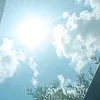 lyurkki