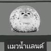 seal_404